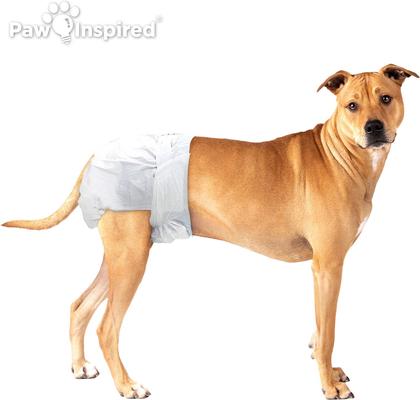 Show full view: Paw Inspired Ultra Protection Disposable Female Dog Diapers, Medium Plus: 16 to 24-in waist, 32 count slide 5 of 12