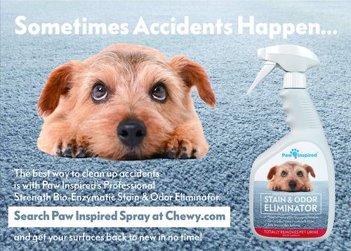 Show full view: Paw Inspired Ultra Protection Disposable Female Dog Diapers, Small: 14 to 19-in waist, 32 count slide 8 of 11