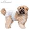 Show in main carousel: Paw Inspired Ultra Protection Disposable Female Dog Diapers, Small: 14 to 19-in waist, 32 count slide 4 of 11
