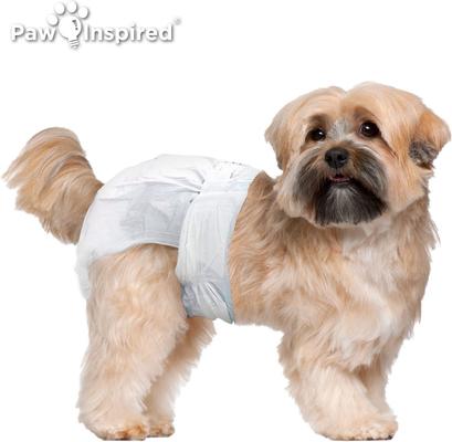 Show full view: Paw Inspired Ultra Protection Disposable Female Dog Diapers, Small: 14 to 19-in waist, 32 count slide 4 of 11