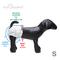 Show in main carousel: Paw Inspired Ultra Protection Disposable Female Dog Diapers, Small: 14 to 19-in waist, 32 count slide 6 of 11