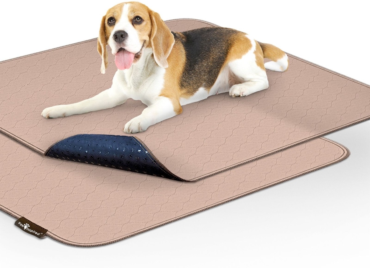 Paw Inspired Washable Dog Pee Pads