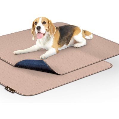 Paw Inspired Paw Inspired Washable Dog Pee Pads, 2 count, 30-in x 32-in