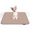 Show in main carousel: Paw Inspired Washable Dog Pee Pads, 2 count, 30-in x 32-in slide 5 of 8