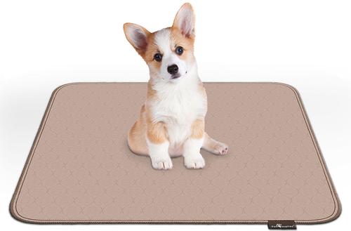 Show full view: Paw Inspired Washable Dog Pee Pads, 2 count, 30-in x 32-in slide 5 of 8