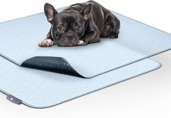 Paw Inspired Washable Dog Pee Pads, 2 count, 34-in x 36-in