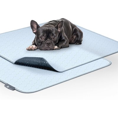 Paw Inspired Paw Inspired Washable Dog Pee Pads, 2 count, 34-in x 36-in