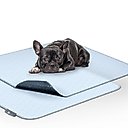 Paw Inspired Washable Dog Pee Pads, 2 count, 34-in x 36-in