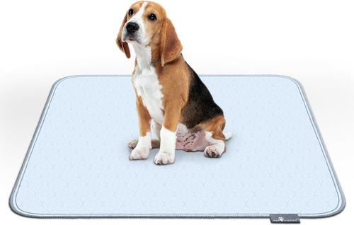 Show full view: Paw Inspired Washable Dog Pee Pads, 2 count, 34-in x 36-in slide 5 of 8