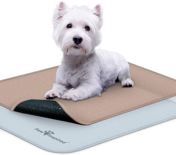 Show full view: Paw Inspired Washable Dog Pee Pads, 24" x 18, 2 count slide 1 of 9