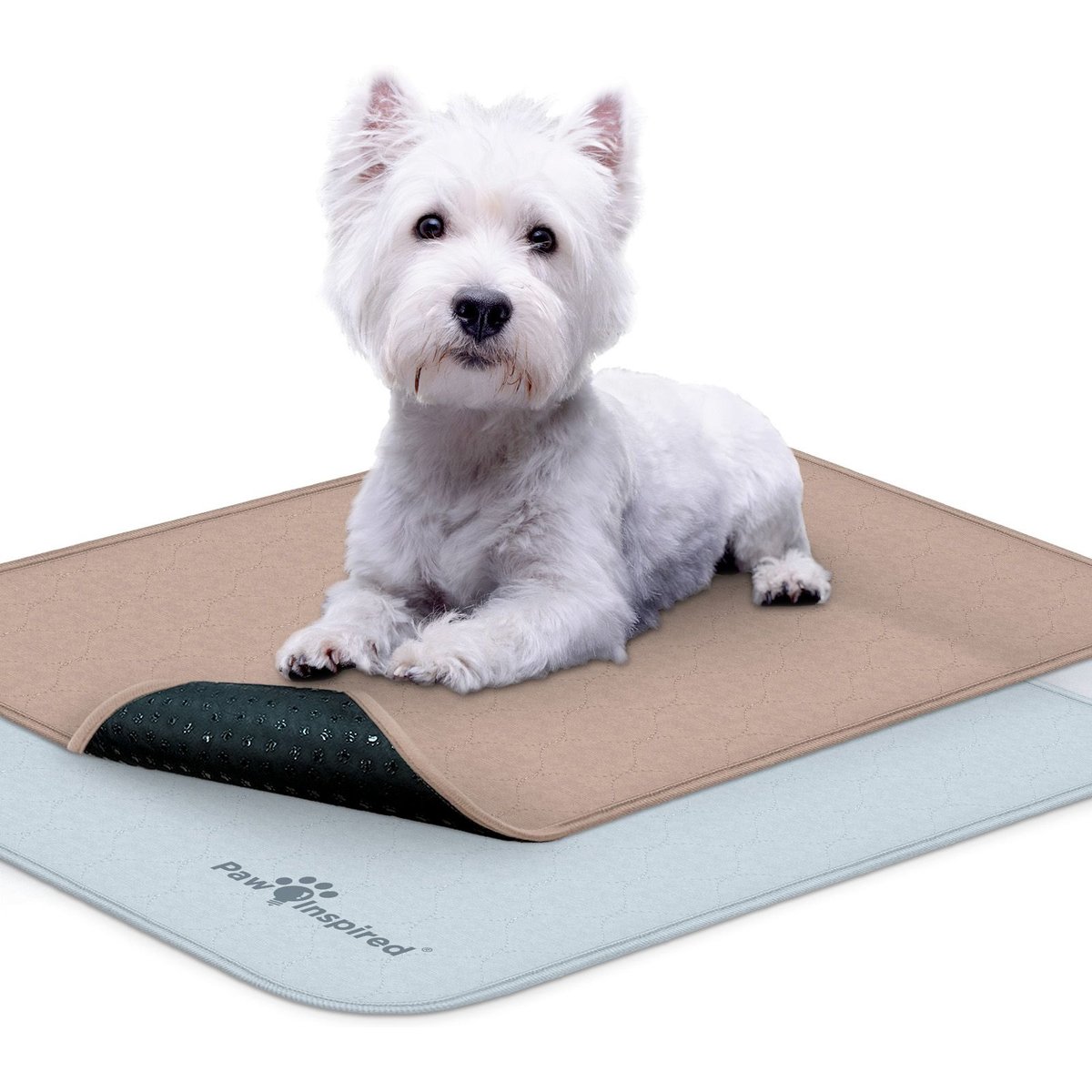 Paw Inspired Washable Dog Pee Pads, 24" x 18, 2 count