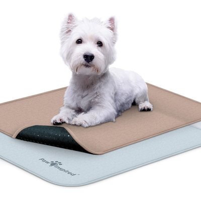 Paw Inspired Paw Inspired Washable Dog Pee Pads, 24" x 18, 2 count