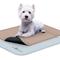 Show in main carousel: Paw Inspired Washable Dog Pee Pads, 24" x 18, 2 count slide 1 of 9