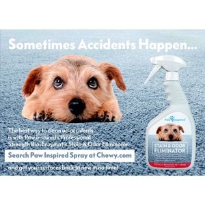 Paw Inspired Washable Dog Pee Pads, 24" x 18, 2 count