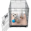 Show in main carousel: Paw Inspired Washable Dog Pee Pads, 24" x 18, 2 count slide 6 of 9