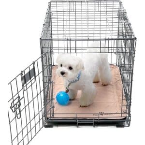 Paw Inspired Washable Dog Pee Pads, 24" x 18, 2 count