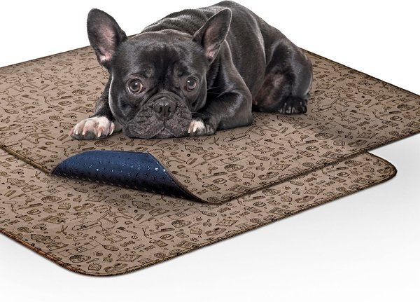 Show full view: Paw Inspired Washable Dog Pee Pads, 32 x 30-in pattern, 2 count, Unscented slide 1 of 10