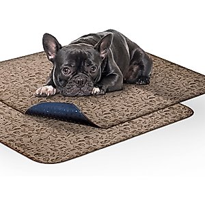 Paw Inspired Washable Dog Pee Pads, 32 x 30-in pattern, 2 count, Unscented