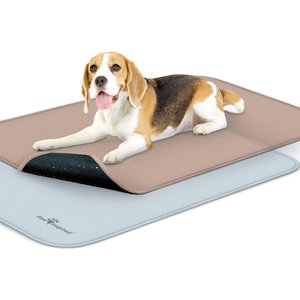 Paw Inspired Washable Dog Pee Pads, 34 x 22-in, 2 count, Unscented