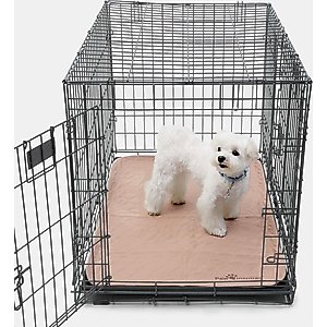 Paw Inspired Washable Dog Pee Pads, 34 x 22-in, 2 count, Unscented