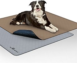Paw Inspired Washable Dog Pee Pads, 41 x 41-in, 2 count, Unscented