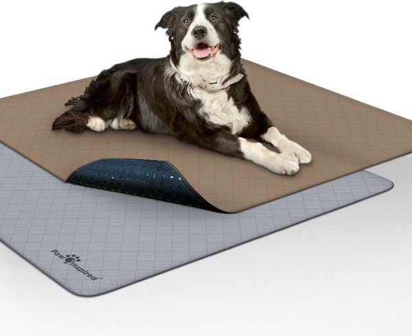 Show full view: Paw Inspired Washable Dog Pee Pads, 41 x 41-in, 2 count, Unscented slide 1 of 10