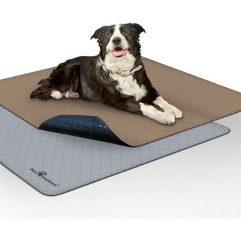 WASHABLE DOG POTTY TRAINING PADS (Free Shipping) Chewy