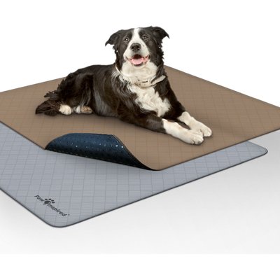 Paw Inspired Paw Inspired Washable Dog Pee Pads, 41 x 41-in, 2 count, Unscented