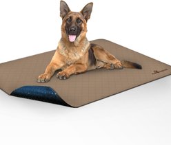 Paw Inspired Washable Dog Pee Pads, 48 x 60-in, 1 count, Unscented