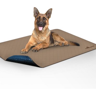 Paw Inspired Paw Inspired Washable Dog Pee Pads, 48 x 60-in, 1 count, Unscented