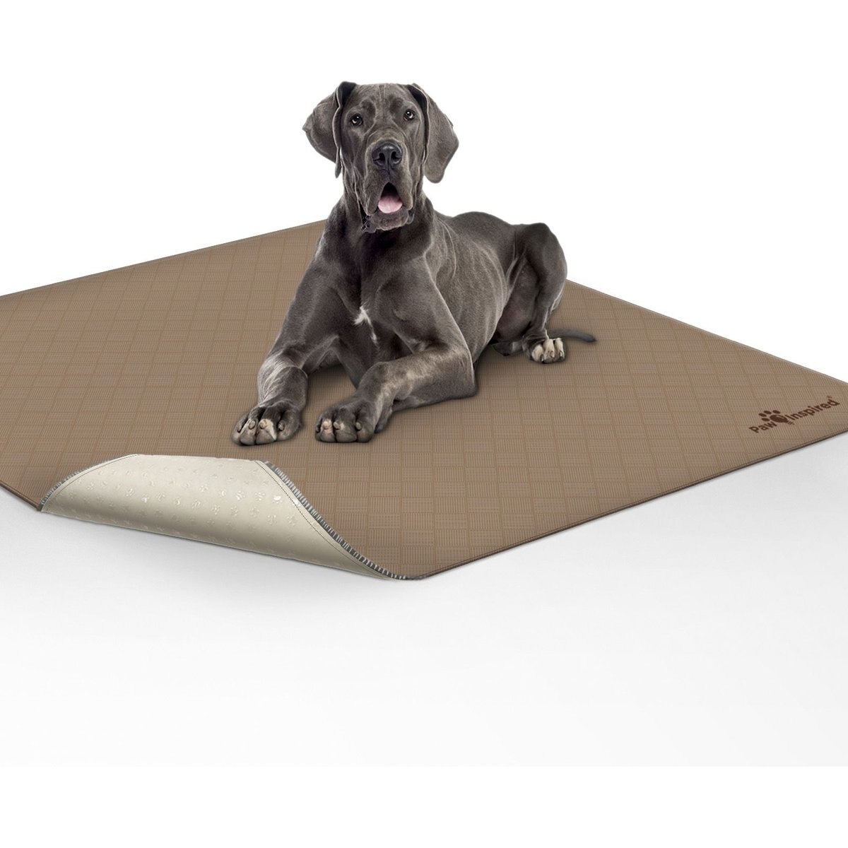 Paw Inspired Washable Dog Pee Pads, 72 x 72-in, 1 count, Unscented