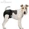 Show in main carousel: Paw Inspired Washable Female Dog Diaper, Black, Black Lining, Medium, 3 count slide 4 of 10