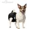 Show in main carousel: Paw Inspired Washable Female Dog Diaper, Black, Black Lining, Small, 3 count slide 4 of 10