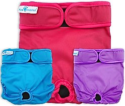 Paw Inspired Washable Female Dog Diaper, Variety Pack, Black Lining, Small, 3 count