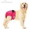 Show in main carousel: Paw Inspired Washable Female Dog Diaper, Variety Pack, Black Lining, X-Large, 2 count slide 4 of 10
