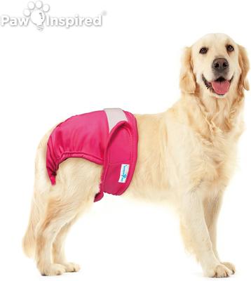Show full view: Paw Inspired Washable Female Dog Diaper, Variety Pack, White Lining, X-Large, 2 count slide 4 of 10