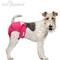 Show in main carousel: Paw Inspired Washable Female Dog Diapers, Medium: 16 to 21-in waist, 3 count slide 4 of 10