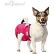 Show in main carousel: Paw Inspired Washable Female Dog Diapers, Small: 12 to 17-in waist, 3 count slide 4 of 10