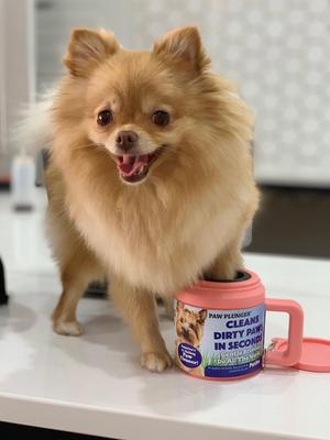 Show full view: Paw Plunger Petite for Dogs, Pink slide 4 of 5