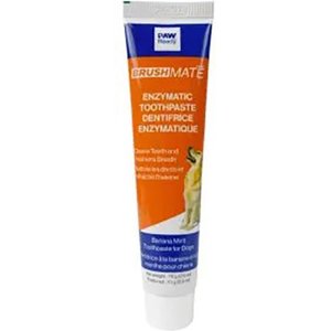 Paw Ready Banana Mint Flavor Enzymatic Dog Toothpaste, 70-g tube