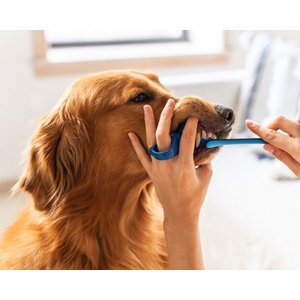 Paw Ready Banana Mint Flavor Enzymatic Dog Toothpaste, 70-g tube