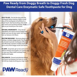 Paw Ready Banana Mint Flavor Enzymatic Dog Toothpaste, 70-g tube