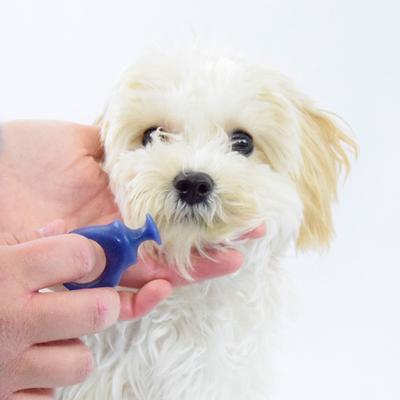 Show full view: Paw Ready BrushMate Biteblock Dog Teeth Cleaning Aid, Blue, Small slide 5 of 11