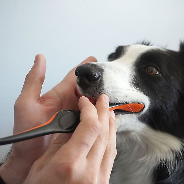 Paw Ready BrushMate Premium Toothbrush with Biteblock Dog Teeth Cleaning Aid