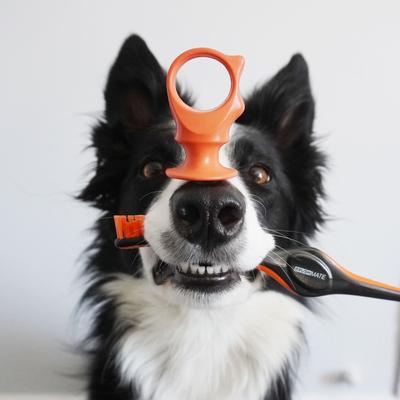 Show full view: Paw Ready BrushMate Premium Toothbrush with Biteblock Dog Teeth Cleaning Aid, Orange, Medium slide 9 of 12