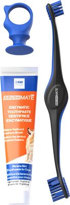 Show full view: Paw Ready BrushMate Toothbrush, Medium Brushing Assistant & Enzymatic Banana Mint Flavor Toothpaste for Medium & Large Dogs, 70-gram bottle slide 1 of 11