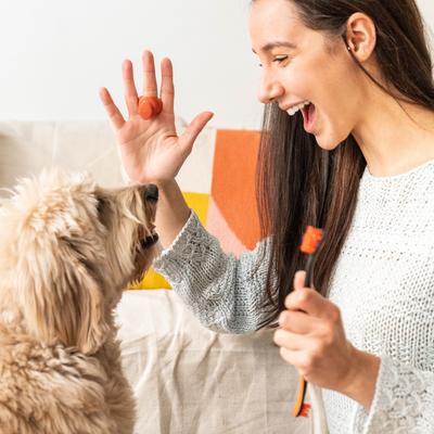 Show full view: Paw Ready BrushMate Toothbrush, Small Brushing Assistant & Enzymatic Banana Mint Flavor Toothpaste for Small Dogs & Cats, 70-gram bottle slide 7 of 12