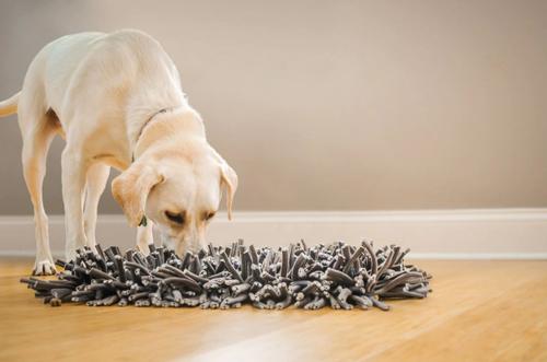 Show full view: PAW5 Wooly Snuffle Dog Feeding Mat slide 7 of 11