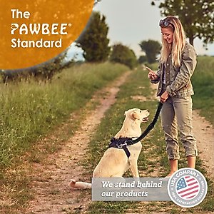 PAWBEE Headrest Dog Seat Belt, Black, 2 count