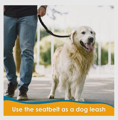 Show full view: PAWBEE Headrest Dog Seat Belt, Black, 2 count slide 9 of 11